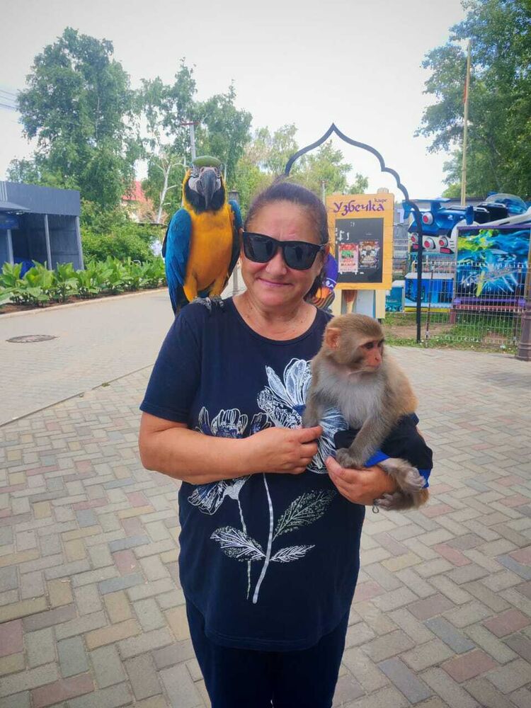  53872702  , 52 ,    --