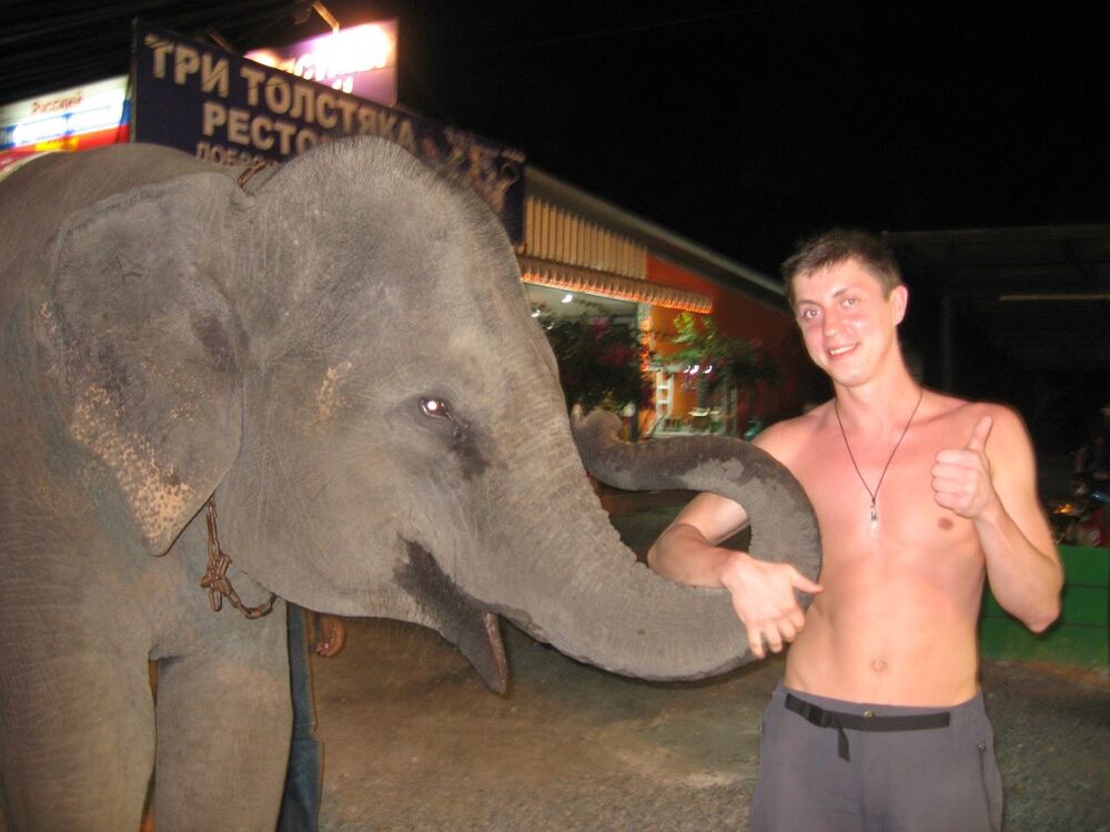 ���� 23981542 ������� ����, 38 ���, ���� ���������� � �����-����������