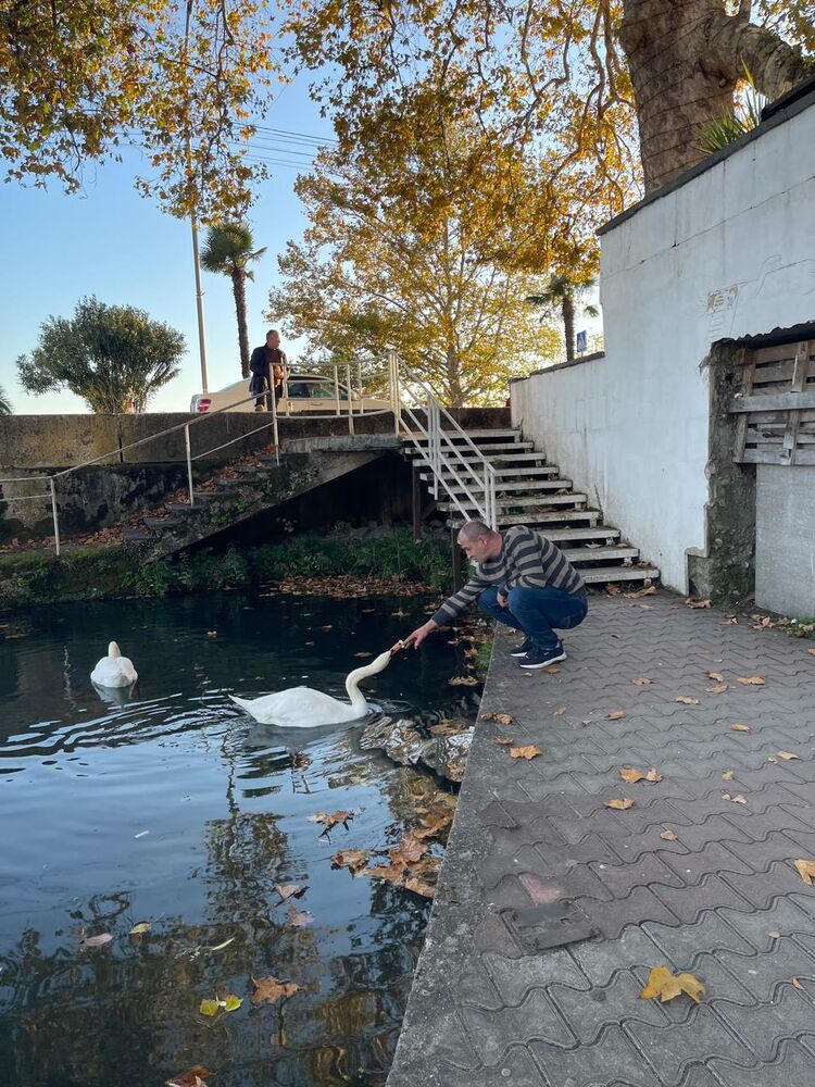  54718972  , 47 ,    -