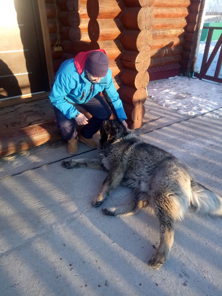 ���������� ������������, ���� ������� �����, 44 ����, ������������ ��� ����� � ���������, c�������� ���������