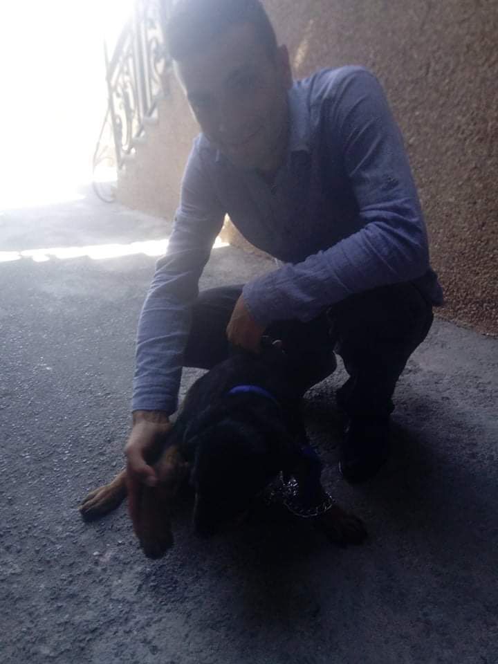 ���� 25435932 ������� Arsen, 29 ���, ���� ���������� � �������