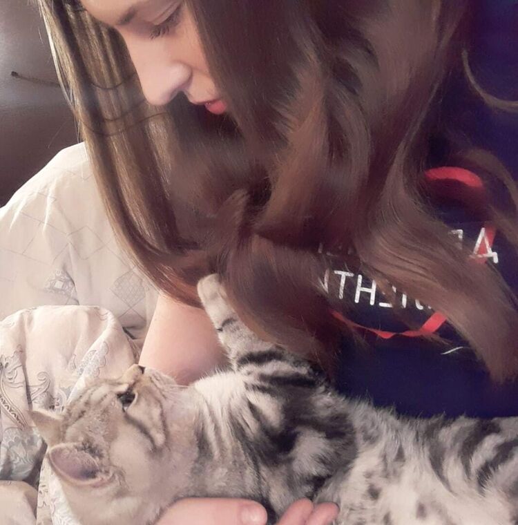 ���� 26703682 ������� ���������, 26 ���, ���� ���������� � ������