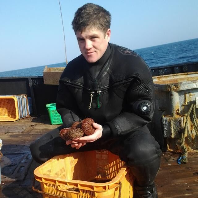 ���� 6433042 ������� �������, 36 ���, ���� ���������� � ������� ������