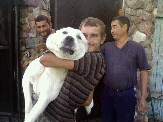 ���� 25697852 ������� ����, 46 ���, ���� ���������� � ����������