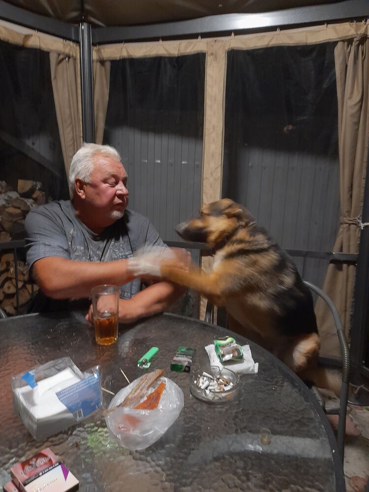  54628752  , 69 ,    -