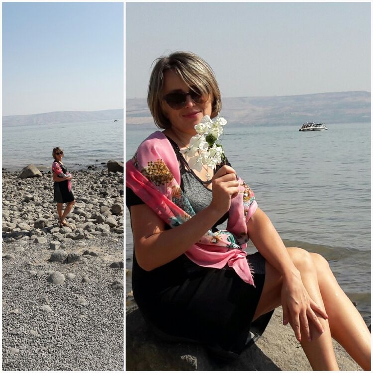 ���� 9823782 ������� ����, 44 ����, ���� ���������� � ����������