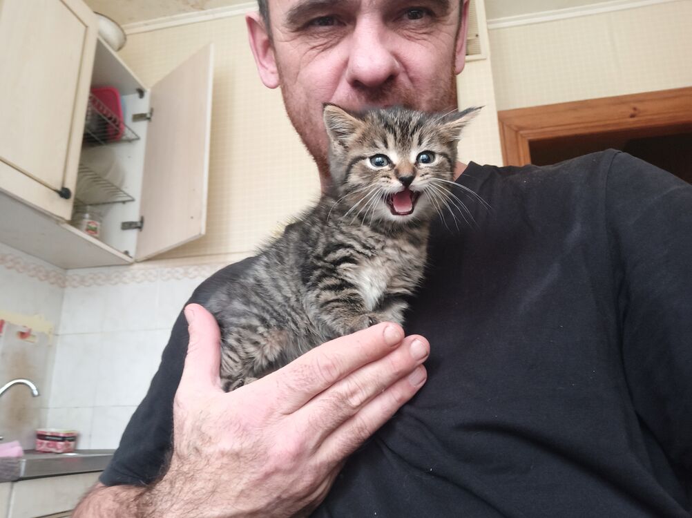 ���� 30811012 ������� �����, 46 ���, ���� ���������� � ������