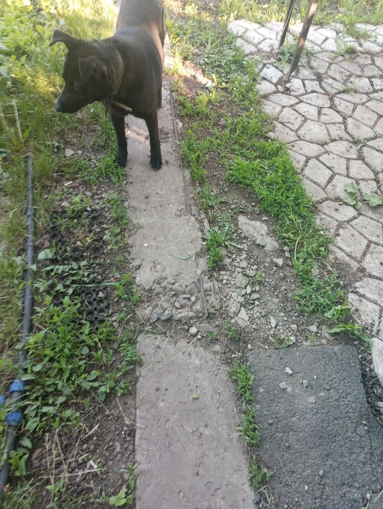 ���� 51977642 ������� ����, 27 ���, ���� ���������� � ������