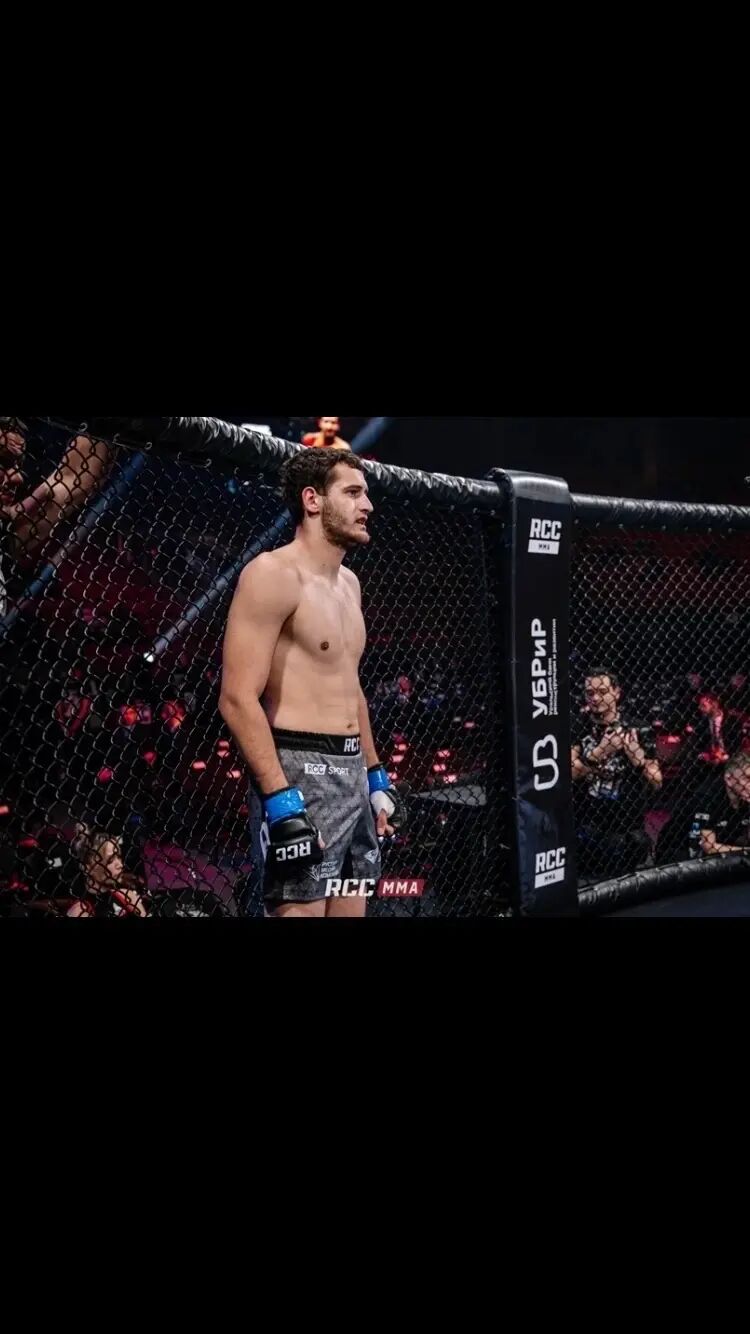 ���������� ����, ���� ������� Daison, 30 ���, ������������ ��� ������, ����� � ���������, ���������