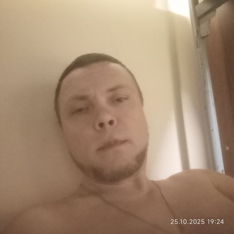  54537712  , 44 ,    -