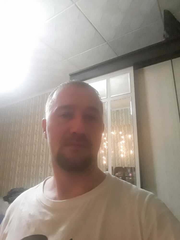  40474582  , 38 ,    
