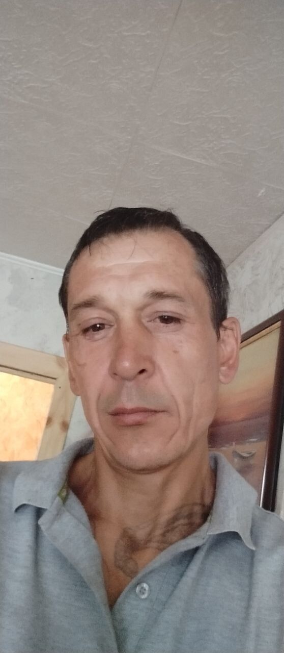  34696612  , 47 ,    