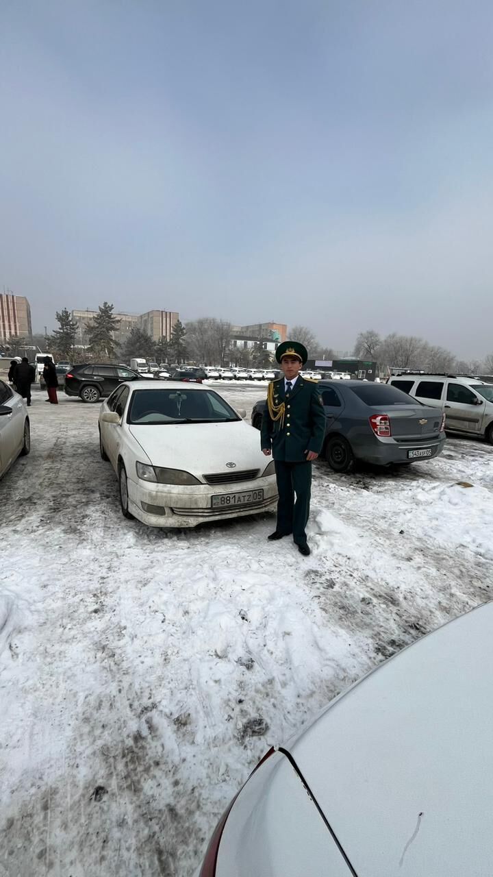 ���� 49388252 ����� ������, 20 ���, ���� ���������� � ������