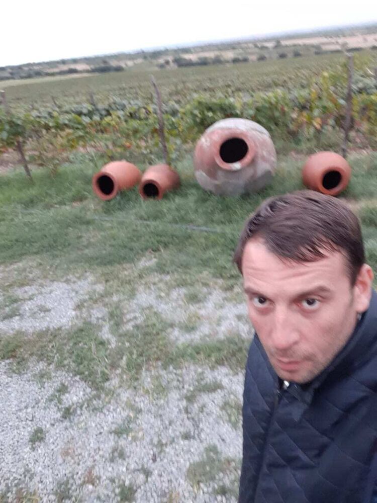 ���� 24426282 ������� Temo, 44 ����, ���� ���������� � �������