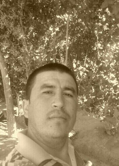  ,   Kamrn, 53 ,   ,   , c 