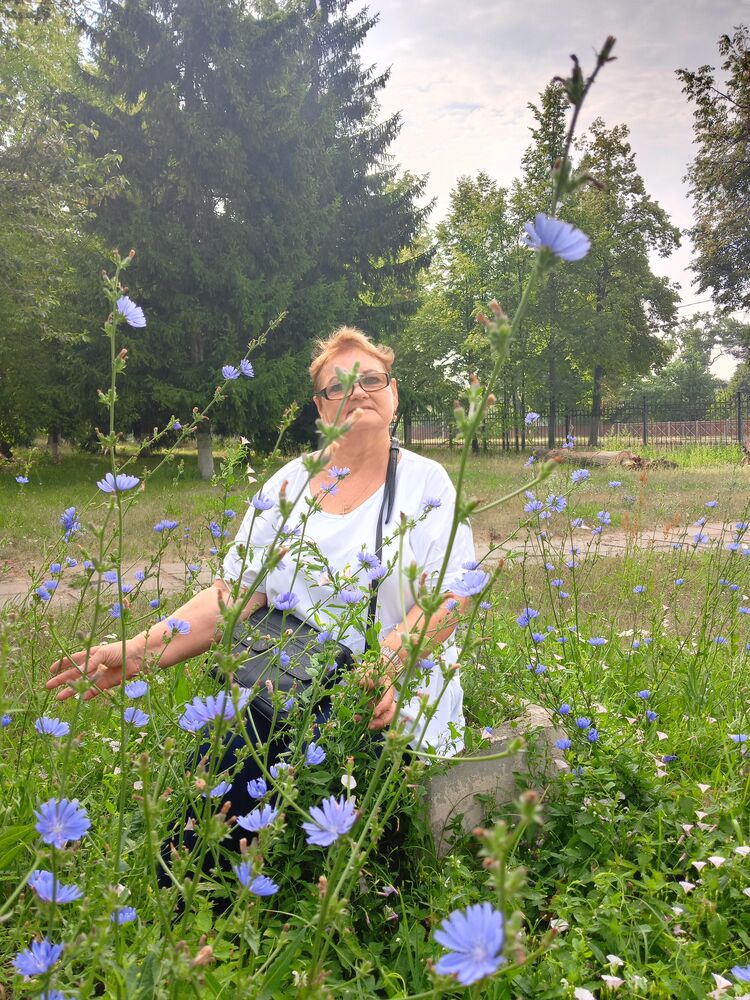 ���������� ����, ���� ������� ������, 65 ���, ������������ ��� ������, ����� � ���������