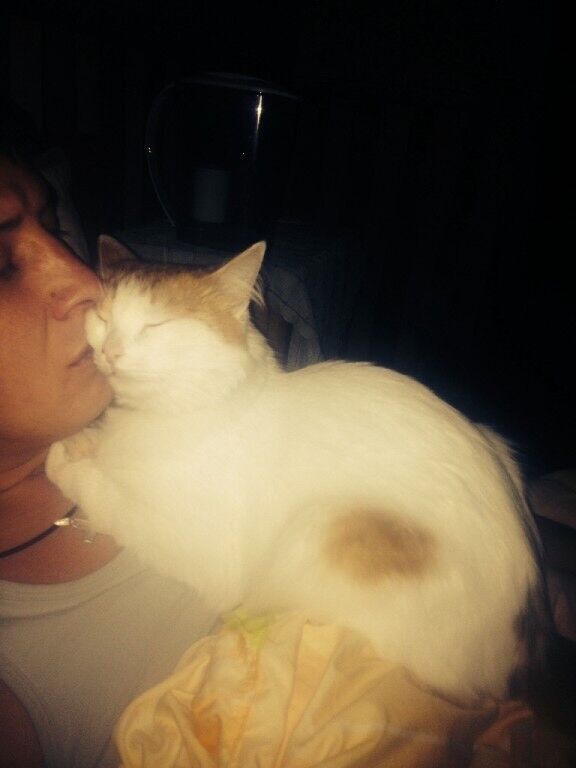 ���������� ������, ���� ������� ���������, 41 ���, ������������ ��� ����� � ���������, c�������� ���������