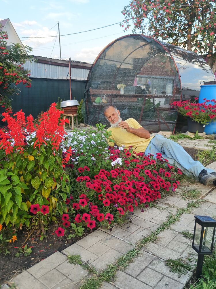 ���������� ���������, ���� ������� ����, 52 ����, ������������ ��� ������, ����� � ���������, c�������� ���������, ���������