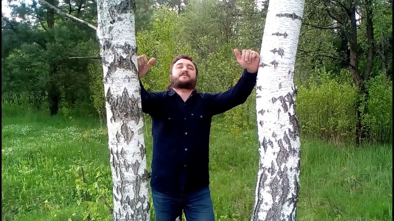  ,   , 44 ,   ,   , 