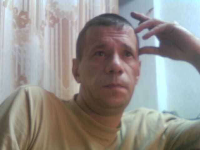  53135552  , 44 ,    -