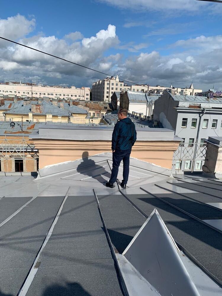  53859272  , 43 ,    -