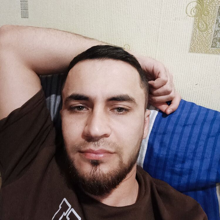  43277562  , 27 ,    