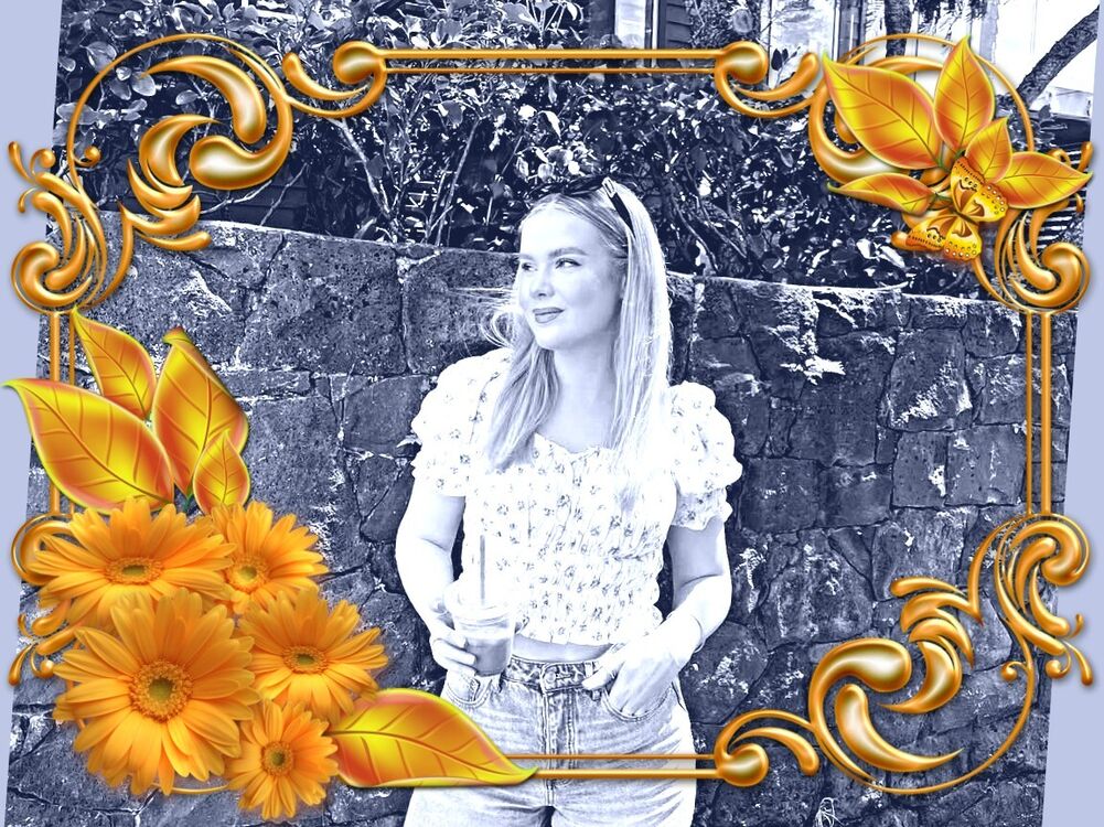 ���� 53526082 ������� ����, 29 ���, ���� ���������� � ���������