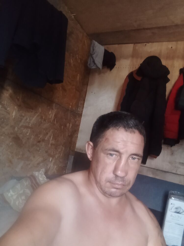  53162252  , 43 ,    --