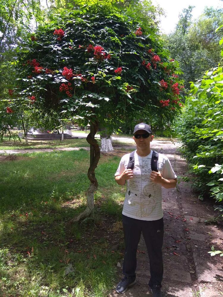  ,   , 51 ,     , c 