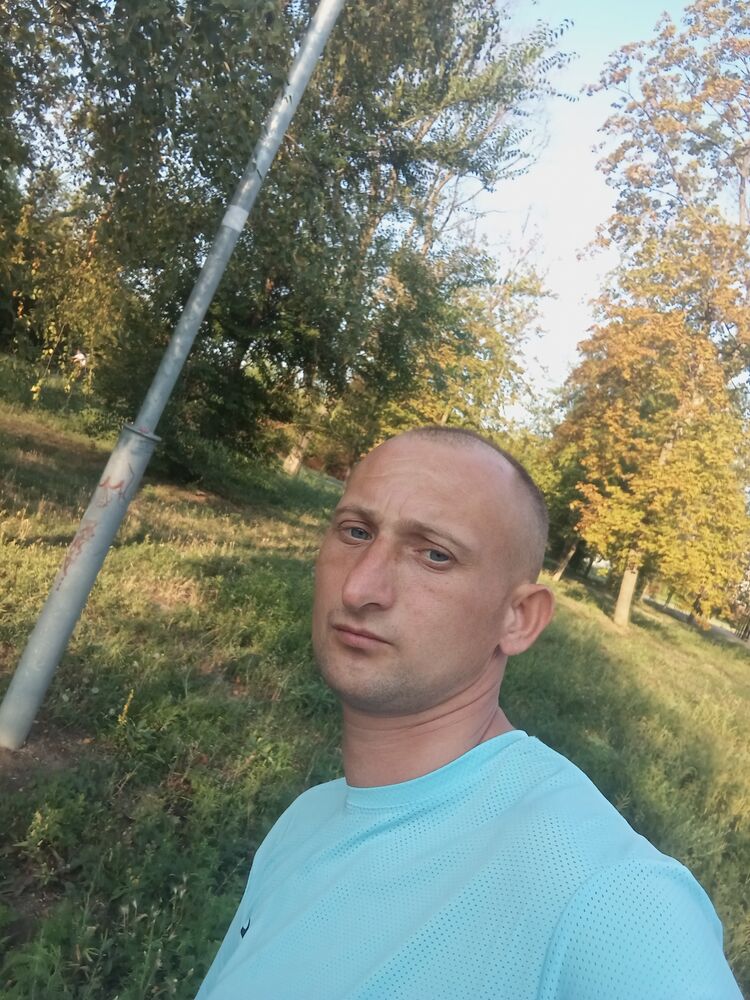  53267082  , 33 ,    
