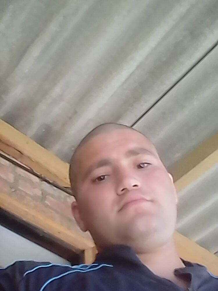 ���� 12801972 ������� ������, 28 ���, ���� ���������� � ���������