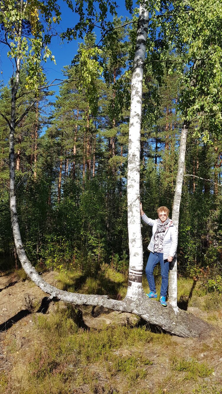 ���������� �����-���������, ���� ������� ������, 65 ���, ������������ ��� c�������� ���������