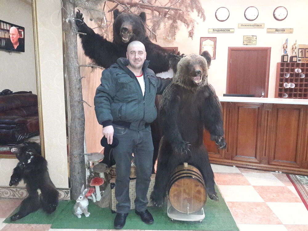 ���� 10686002 ������� ������, 44 ����, ���� ���������� � ���������