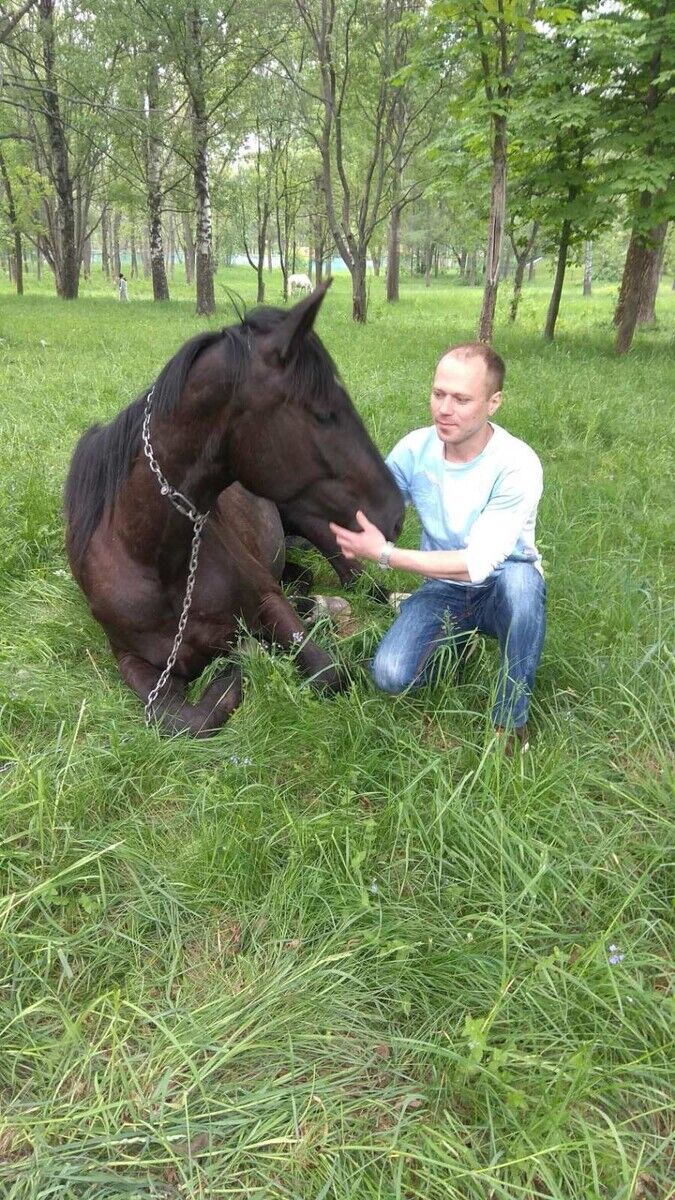 ���������� �����, ���� ������� ����, 42 ����, ������������ ��� ����� � ���������, c�������� ���������, ���������