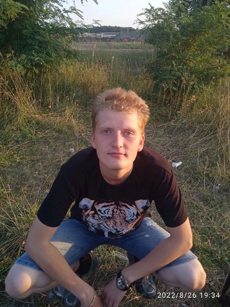  29567652  , 26 ,    