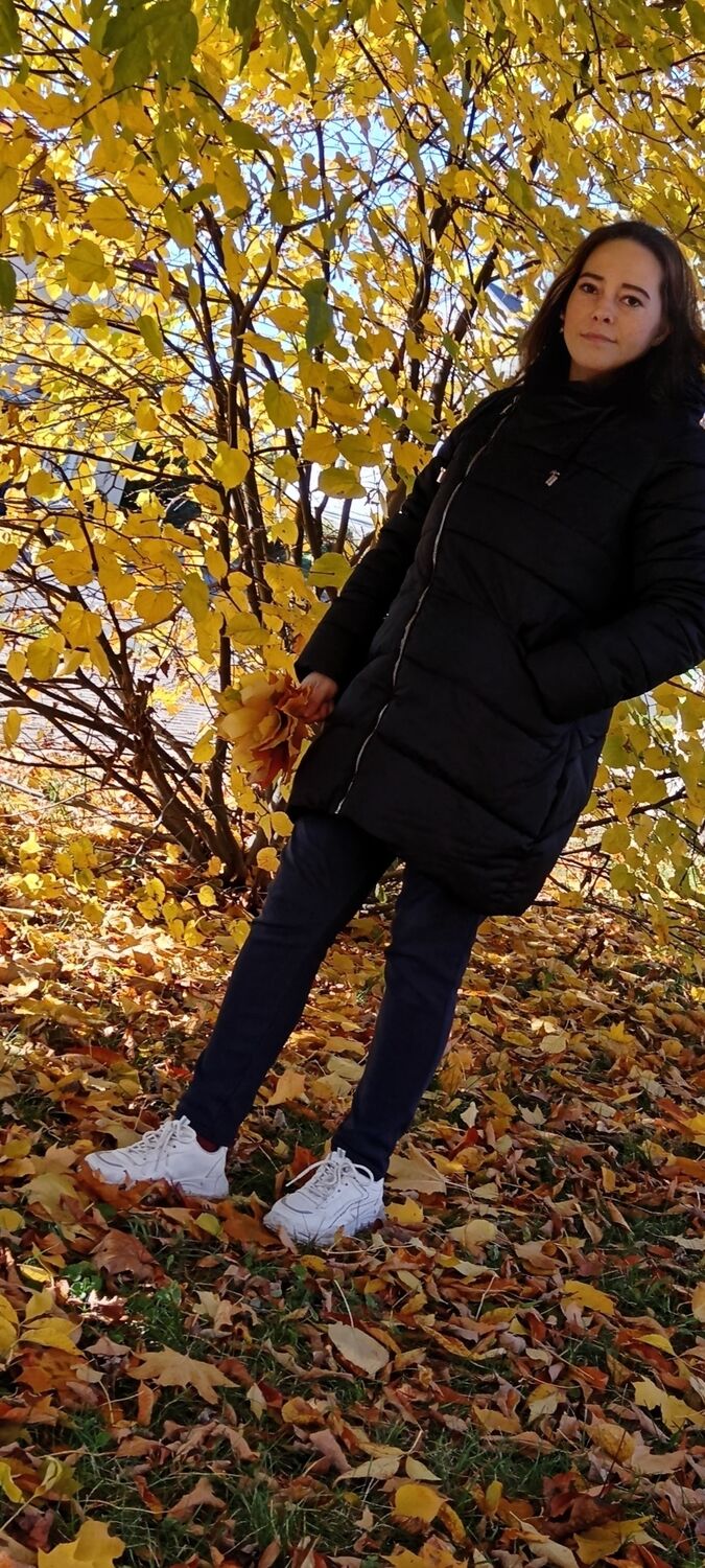 ���������� ���������, ���� ������� ���������, 29 ���, ������������ ��� c�������� ���������