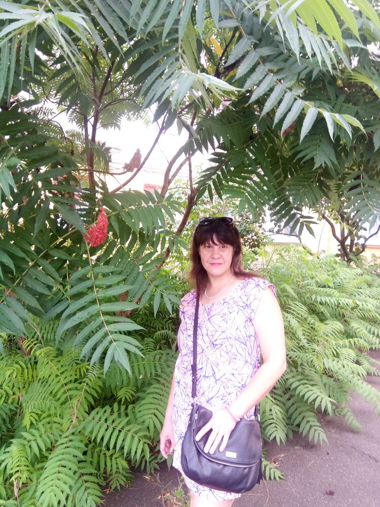 ���������� �����, ���� ������� �������, 45 ���, ������������ ��� ������, ����� � ���������