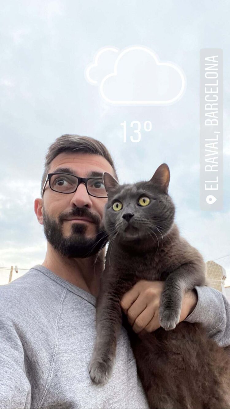 ���� 55600932 ������� ������, 41 ���, ���� ���������� � �������-��-����