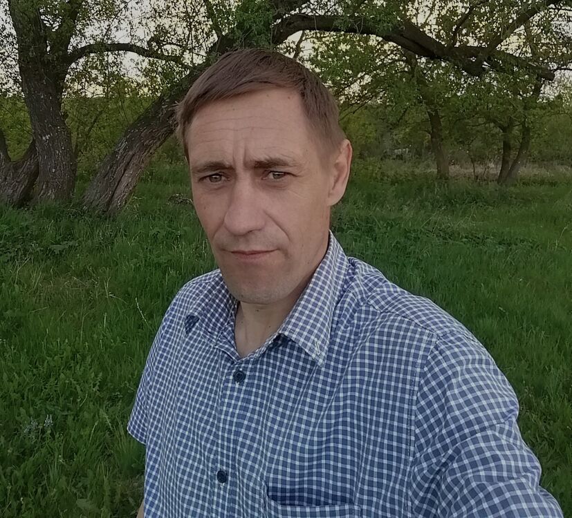 ���� 56086752 ������� �������, 46 ���, ���� ���������� � ������