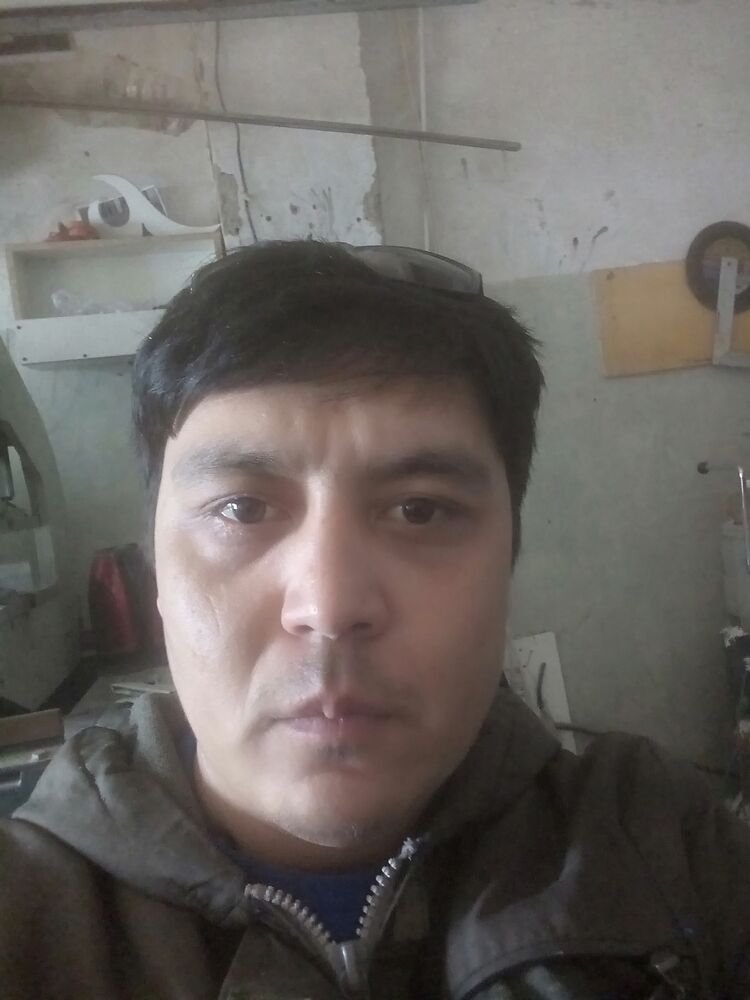  26636212  , 37 ,    