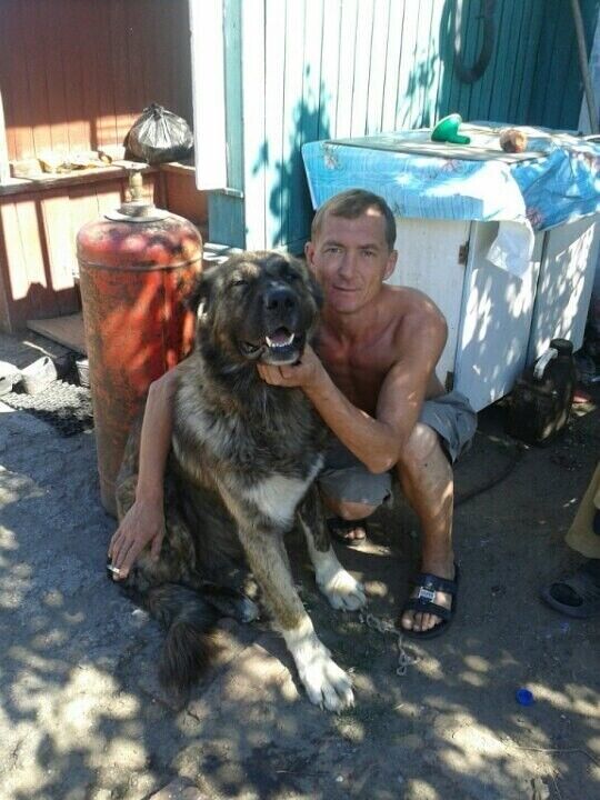 ���� 23344542 ������� ������, 50 ���, ���� ���������� � ������