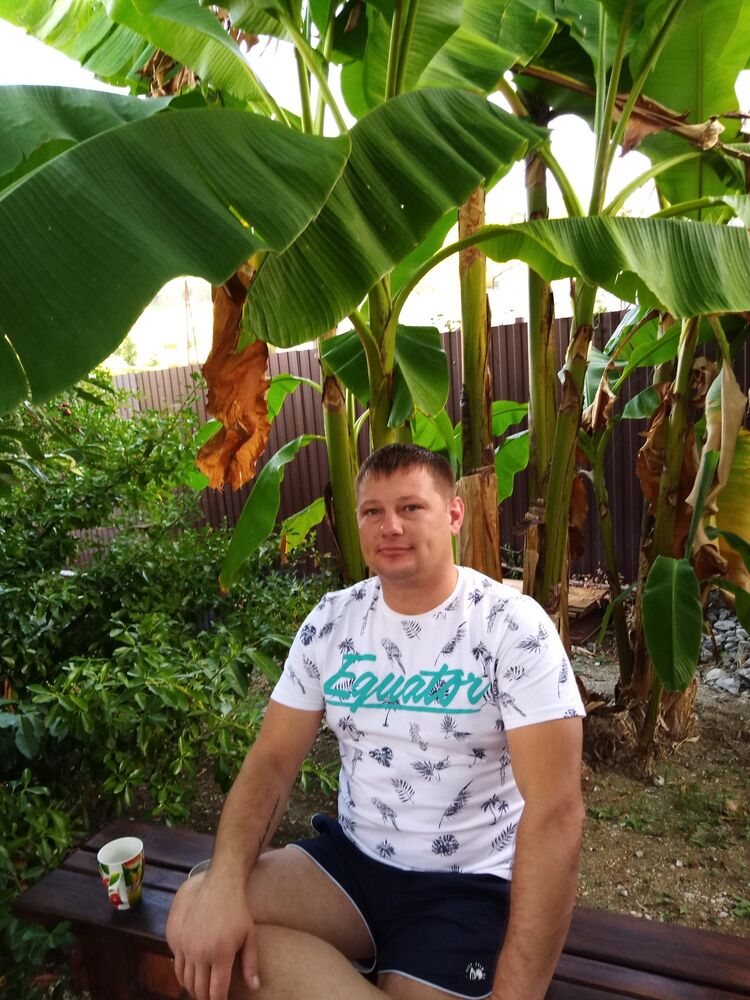  43307282  , 40 ,    