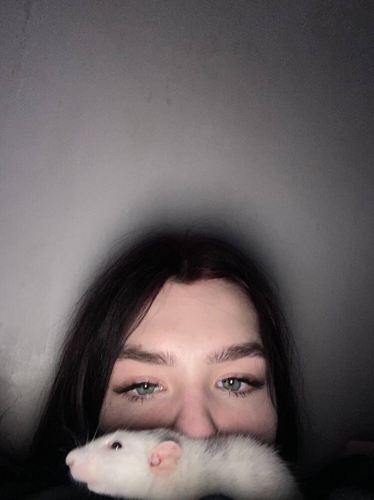 ���������� ������, ���� ������� ������, 25 ���, ������������ ��� ������, ����� � ���������