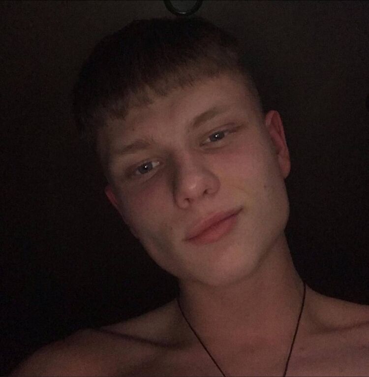  53056842  , 24 ,    