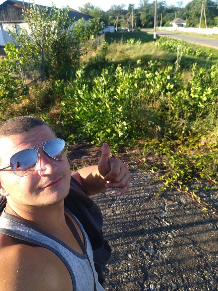  38302572  , 34 ,    