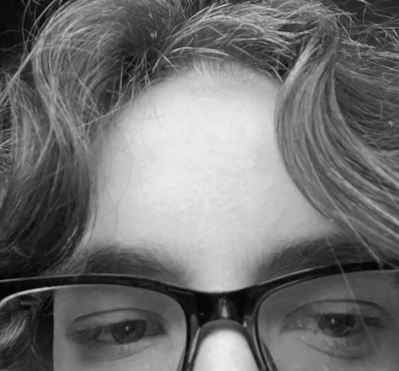 ���� 41076002 ����� ������, 20 ���, ���� ���������� � �������