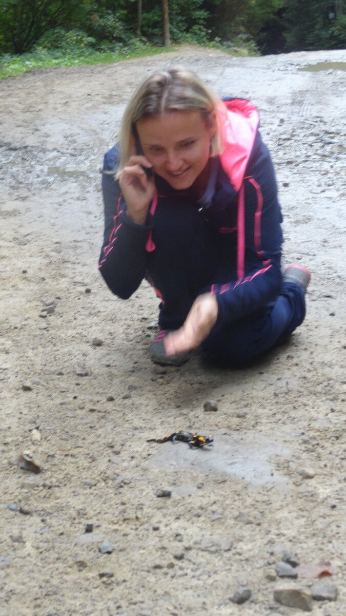 ���������� ����������, ���� ������� ��������, 46 ���, ������������ ��� ����� � ���������, c�������� ���������