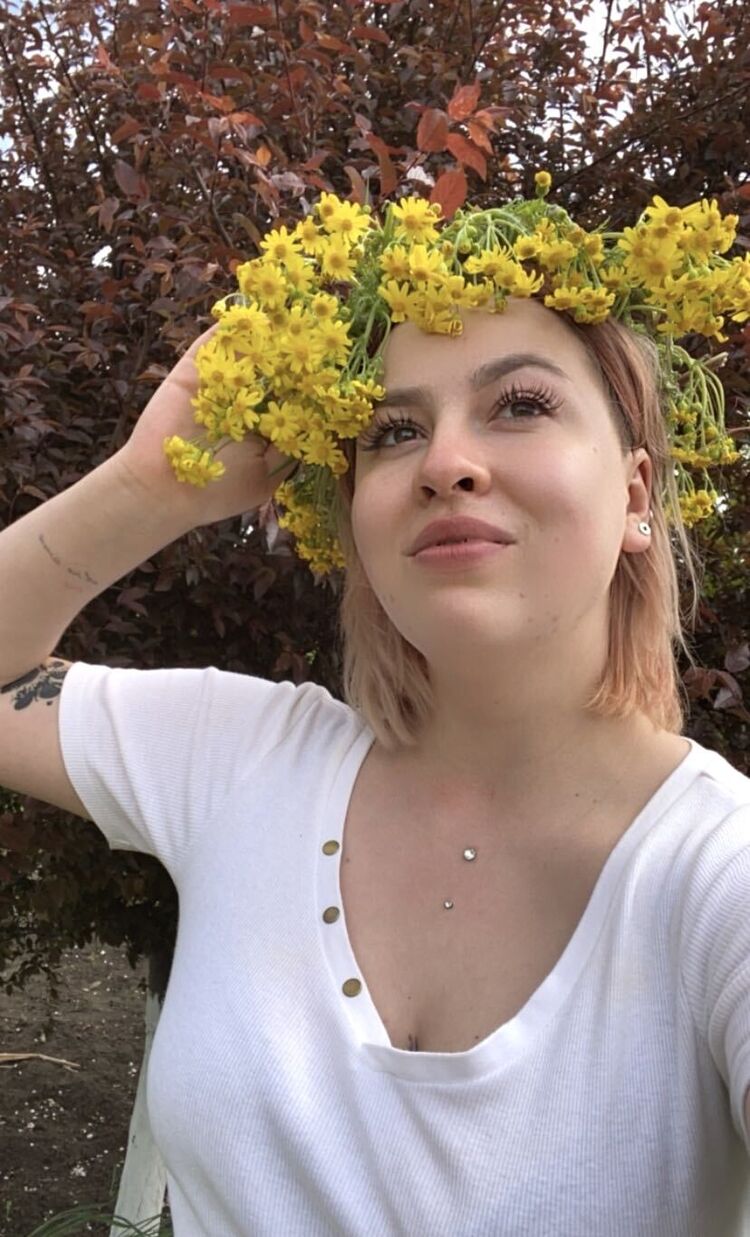  26343512  , 25 ,    -