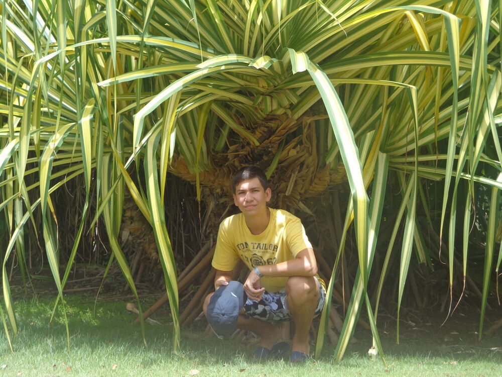 ���� 11913252 ������� �����, 30 ���, ���� ���������� � ������