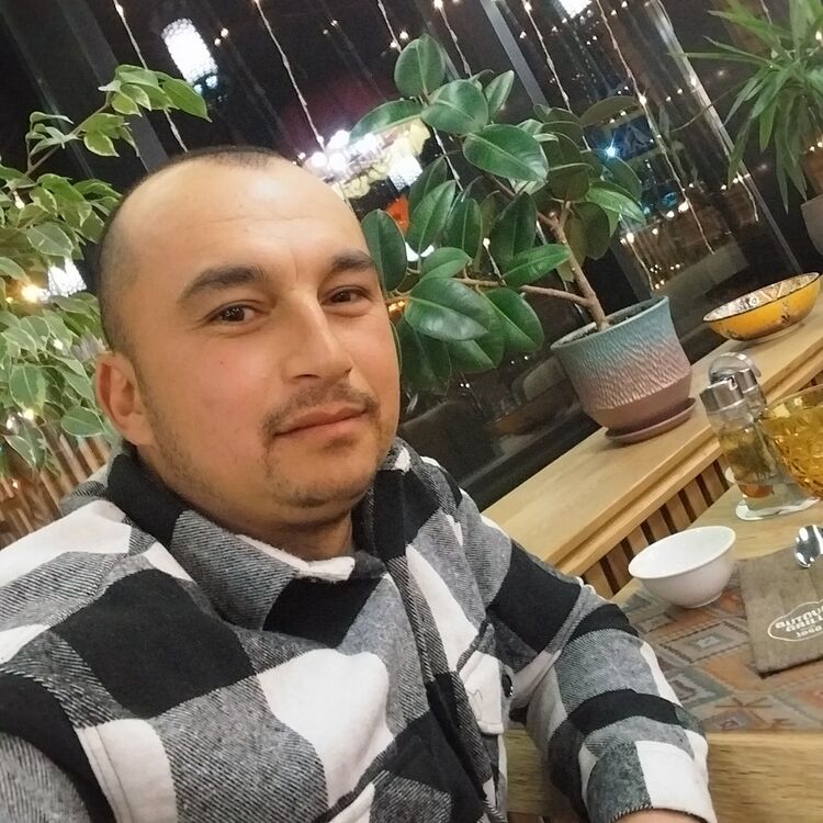  48867042  , 31 ,    